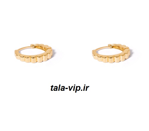 گوشواره حلقه ای دوتایی